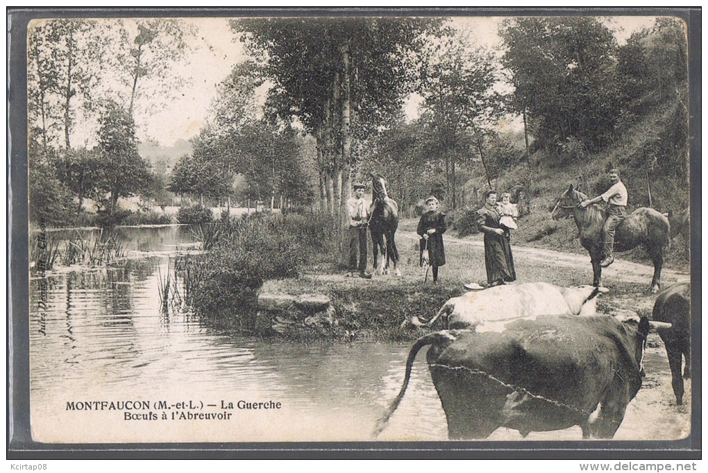 MONTFAUCON . La Guerche . Boeufs à L'Abreuvoir . - Montfaucon