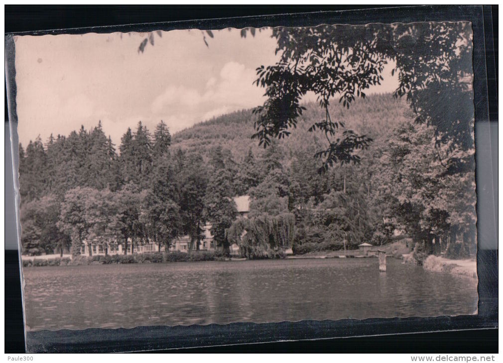 Georgenthal - Hammersee Mit Kurhaus - Georgenthal