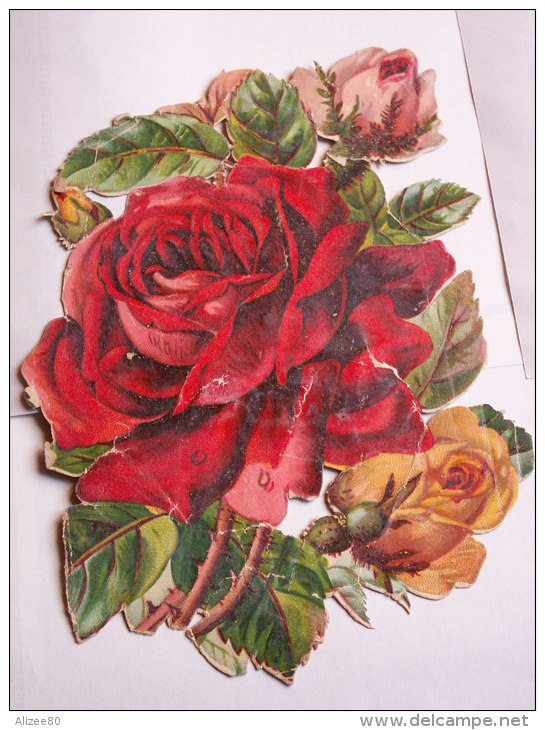 ""  JOLI   DECOUPI  GAUFRE  ROSES ""  13  Cm - Fleurs