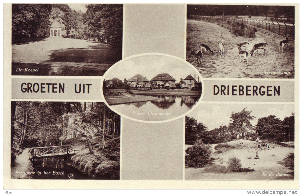 Groeten Uit - Driebergen – Rijsenburg