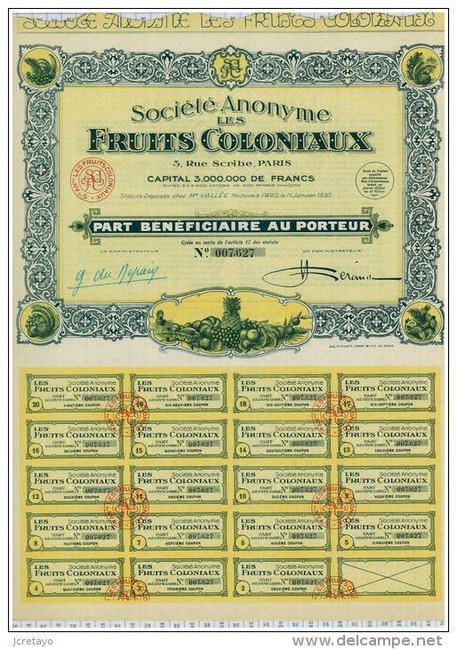 SA Les Fruits Coloniaux, Déco - Agriculture