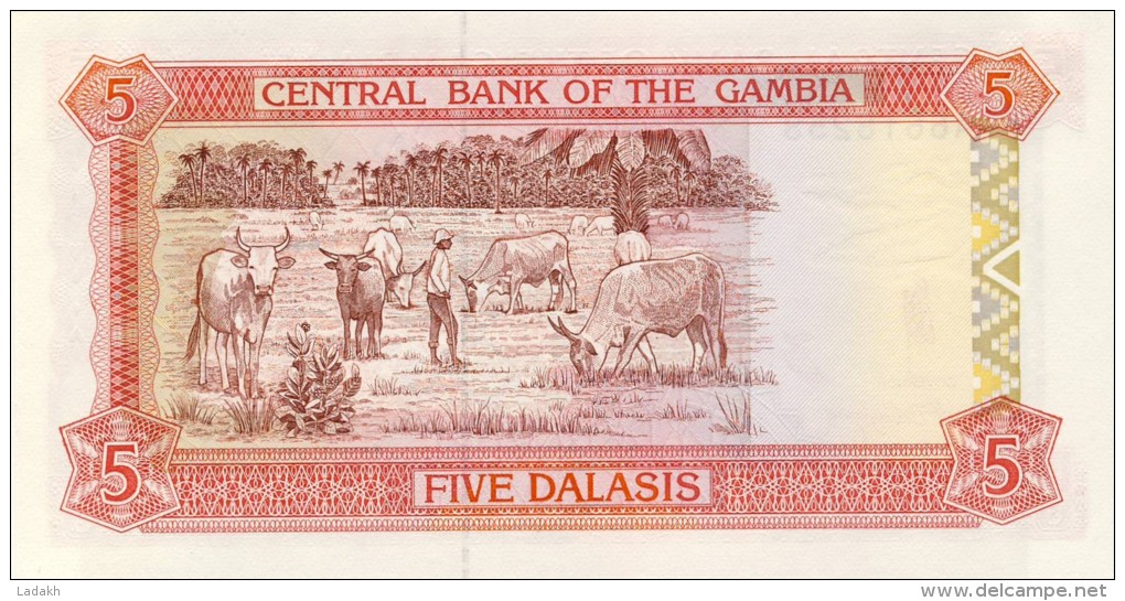 BILLET # GAMBIE # 1996 ?  # 5 DALASIS  #  PICK 20 # NEUF # - Gambia