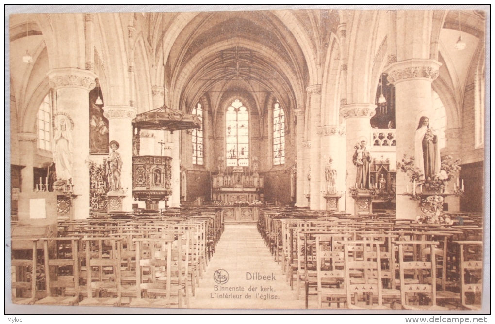 Dilbeek. L'Intérieur De L'église. Binnenste Van De Kerk. - Dilbeek