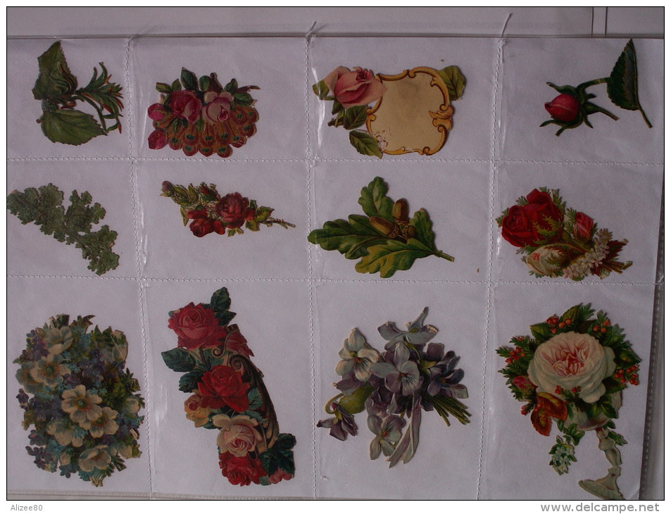 ""   LOT  DE  12  DECOUPIS GAUFRES   //  TAILLES  DIVERSES  --     FLEURS  //  PAGE  21 X 30  "" - Fleurs