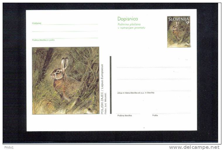 Slowenien / Slovenia Hase / Rabbit Ganzsache / Postcard - Rabbits