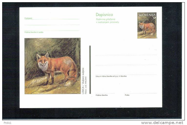 Slowenien / Slovenia Fuchs / Fox Ganzsache / Postcard - Wild