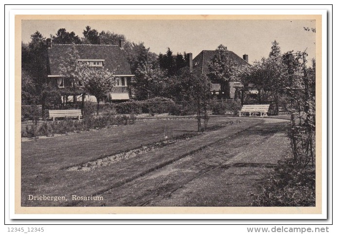 Driebergen, Rosarium - Driebergen – Rijsenburg