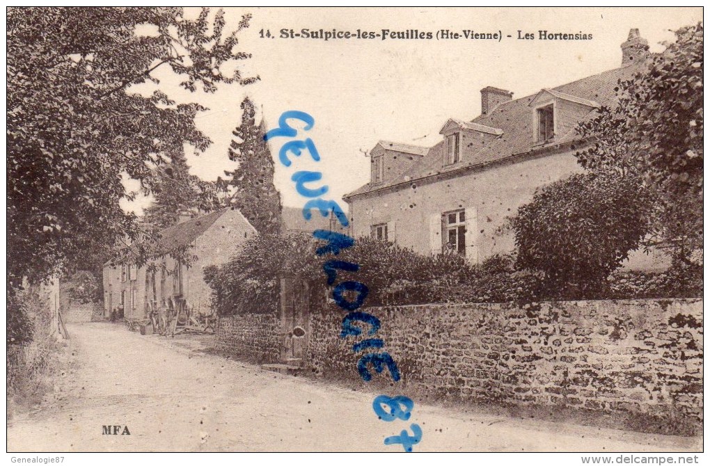 87 - SAINT SULPICE LES FEUILLES - ST SULPICE LES FEUILLES-  CHATEAU LES HORTENSIAS  VILLA - Saint Sulpice Les Feuilles