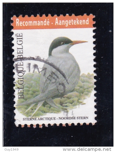 VOGELS  OISEAUX   BUZINNOORSE STERN STERNE ARCTIQUE - Used Stamps