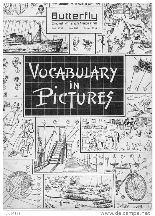 BUTTERFLY - "Vocabulary In Pictures" N°:110 - Août 1955 - English Language/ Grammar