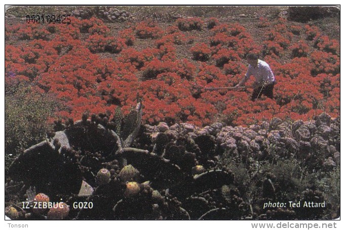 Malta, 194, Spring, Flowers, 2 Scans. - Malta