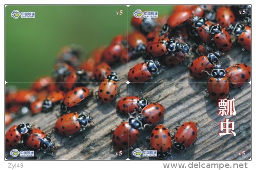 A02368 China phone cards Ladybug puzzle 40pcs