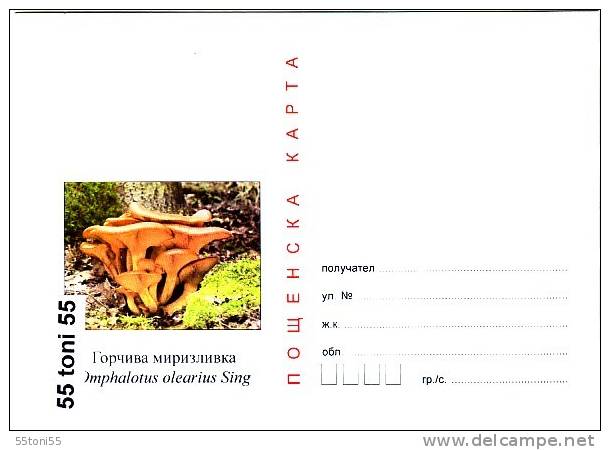 Bulgaria / Bulgarie 2011  Poisonous Mushrooms   Postal Card - Postcards