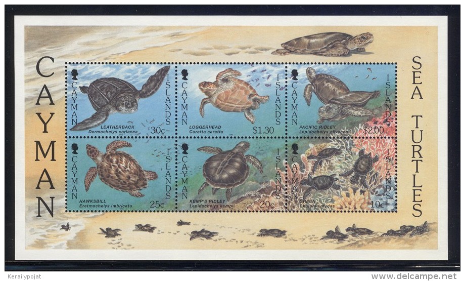 Cayman Islands - 1995 Sea Turtles Block MNH__(FIL-9971) - Kaimaninseln