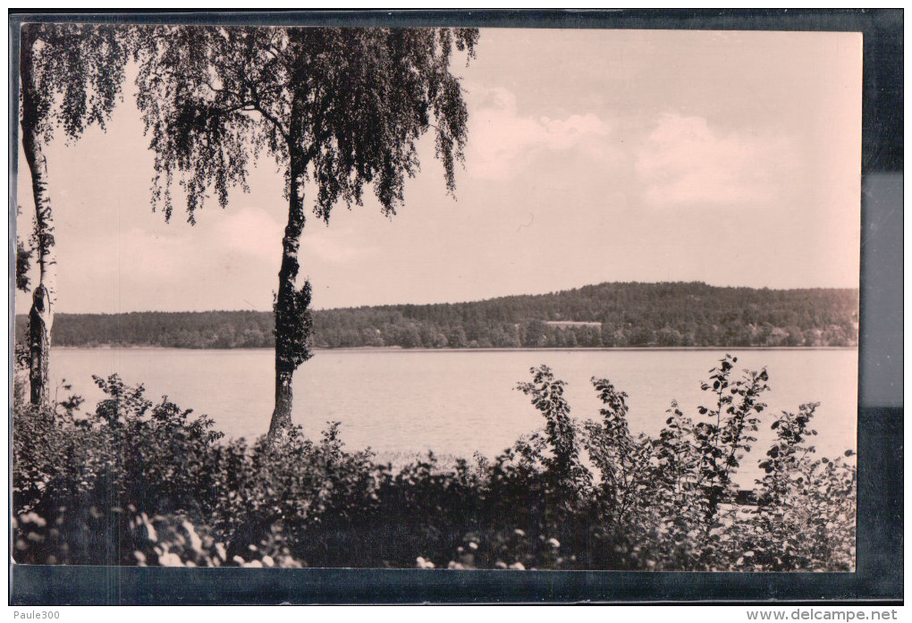 Bad Saarow - Blick über Den Scharmützelsee - Bad Saarow