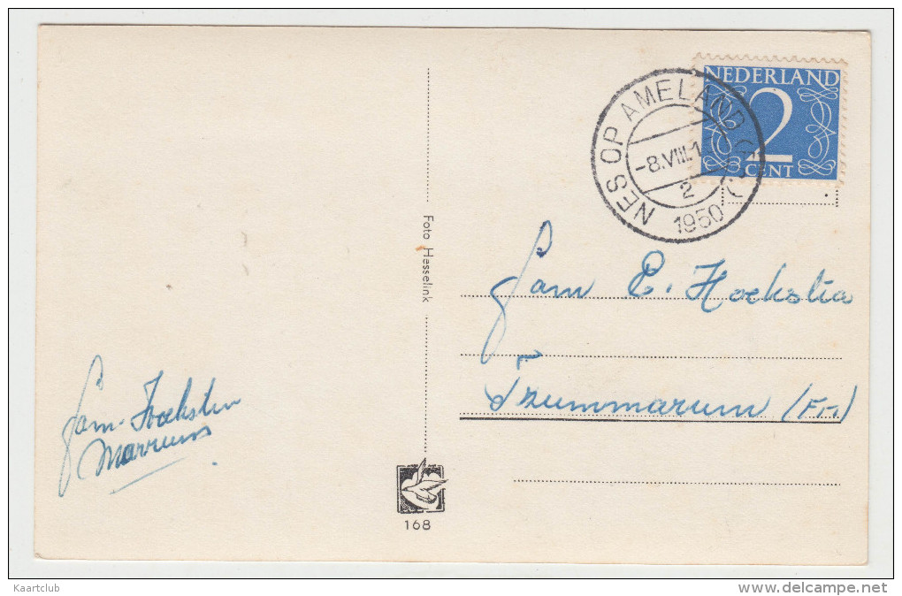 Nes - Bosweg  - Ameland - 1950 - Holland/Nederland  (2 Scans) - Ameland