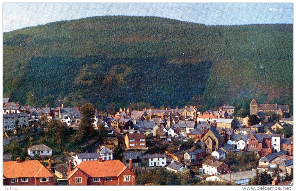 Knighton From Ffydd Wood - Radnorshire