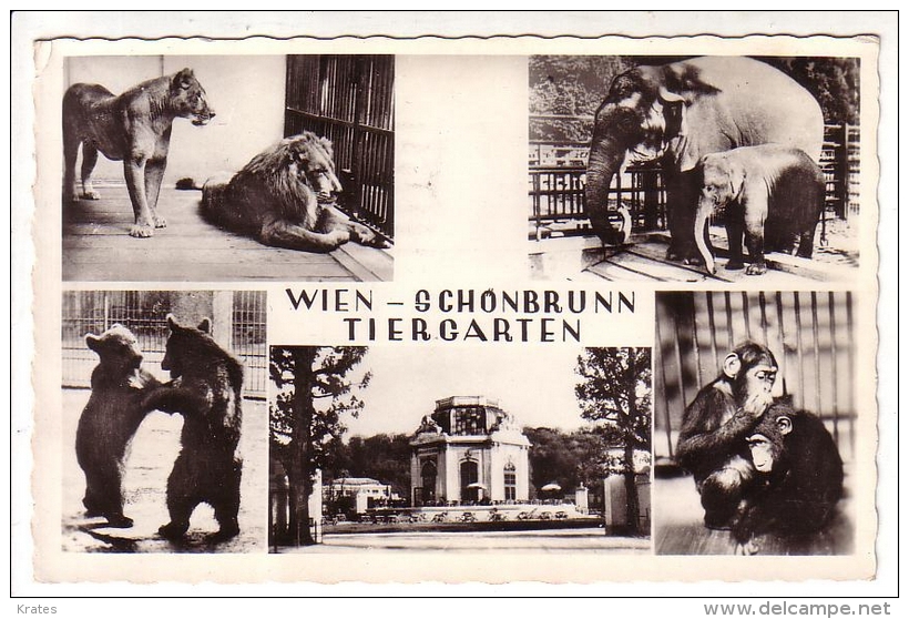 Postcard - Wien    (13495) - Schloss Schönbrunn