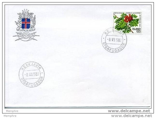 ISLANDE   FDC 1979  Mi 552  Année De L&acute;arbre - FDC