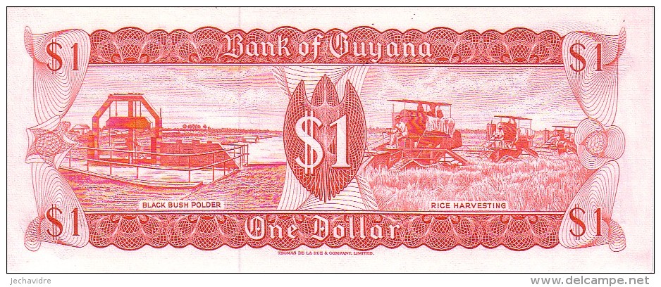 GUYANA   1 Dollars   Emission De 11989   Pick 21 F      ***** BILLET  NEUF ***** - Guyana