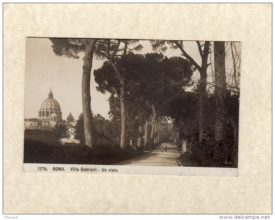 45987    Italia,    Roma,  Villa  Gabrielli,  Un Viale,  VG  1910 - Parks & Gardens