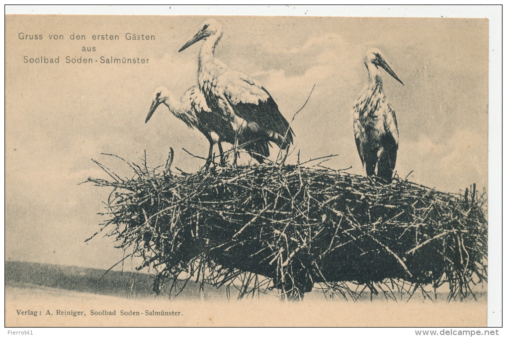 ALLEMAGNE - Gruss Von Den Ersten Gästen Aus SOOLBAD SODEN - SALMÜNSTER (cigognes ) - Bad Soden