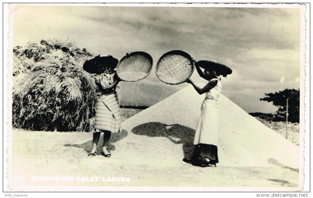 "Winnowing Palay - Laguna" !! Pli !!! - Philippines