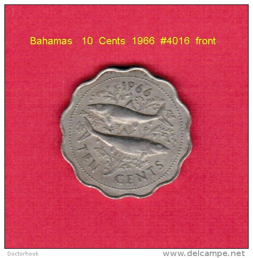 BAHAMAS    10  CENTS  1966  (KM # 4) - Bahamas