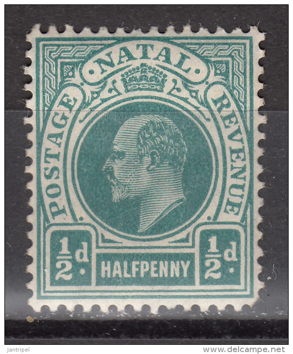 NATAL 1904 KEVII   1/2  P   MH - Natal (1857-1909)