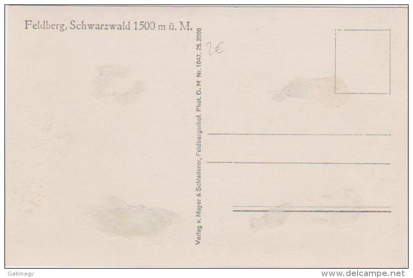 #AK049 - FELDBERG - SCHWARZWALD - Feldberg