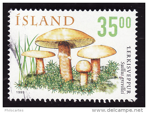 ISLANDE 1999  -  YT 868 -  Suillus Grevillei  -  Oblitéré - Oblitérés