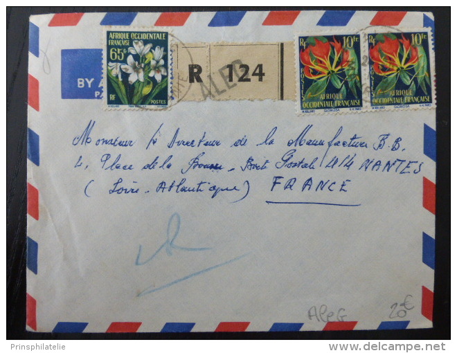 LETTRE  RECOMMANDE DE ALEG MAURITANNIE 1960  =&gt; FRANCE      COVER   FLEURS - Lettres & Documents