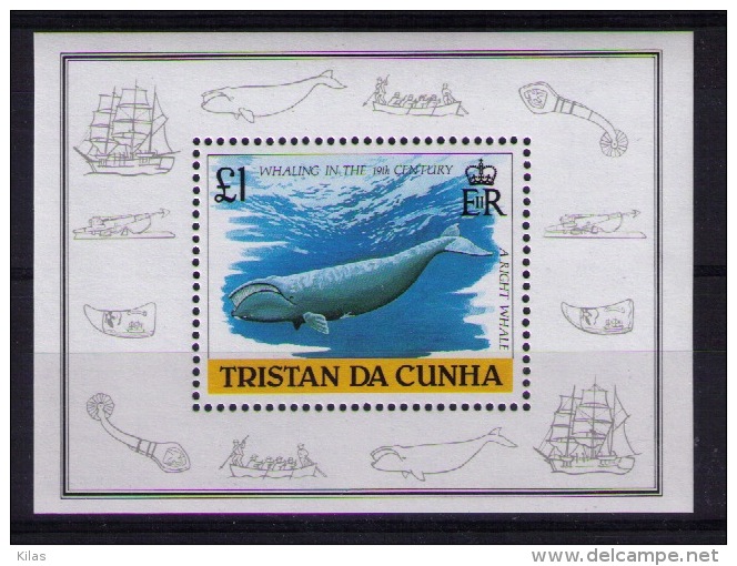 TRISTAN DA CUNHA 1988  Whales - Whales