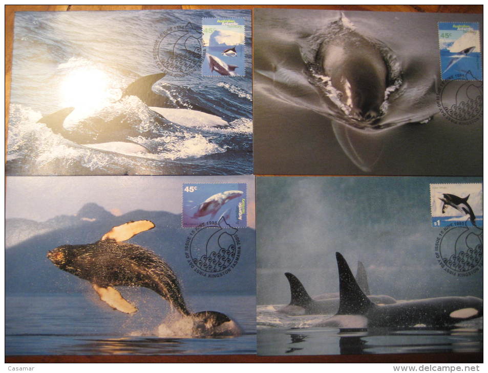 AAT Antarctic Antarctique Kingston 1995 Humpback WHALE WHALES Australia Maxi Maximum Card - Baleines