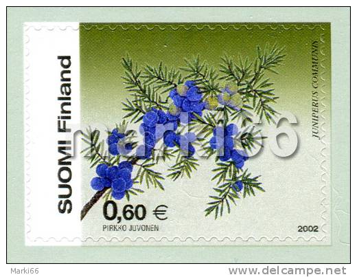 Finland - 2002 - Flora, Berries, Common Juniper - Mint Stamp - Neufs