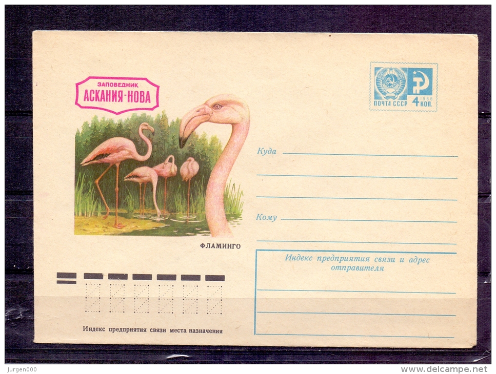 Noyta CCCP -    (RM4284) - Flamingos