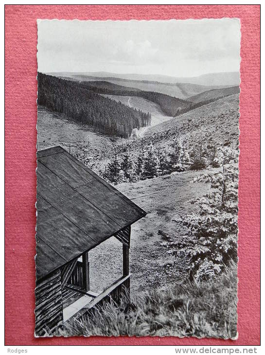 Deutch. , Cpsm  SEESEN/Harz , Blick Vom Hohestein  (319)Recto/Verso - Seesen