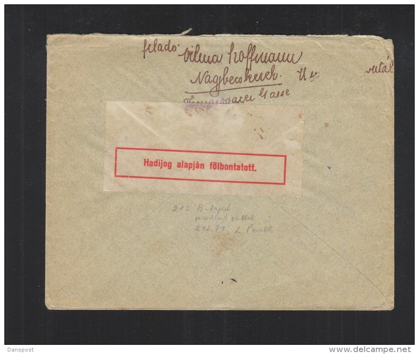 Hungary Cover 1917 To Red Cross Denmark Censor (2) - Lettres & Documents