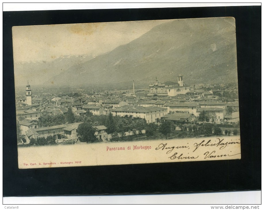 S4884 CARTOLINA SONDRIO PANORAMA DI MORBEGNO FP. V. - Sesto San Giovanni