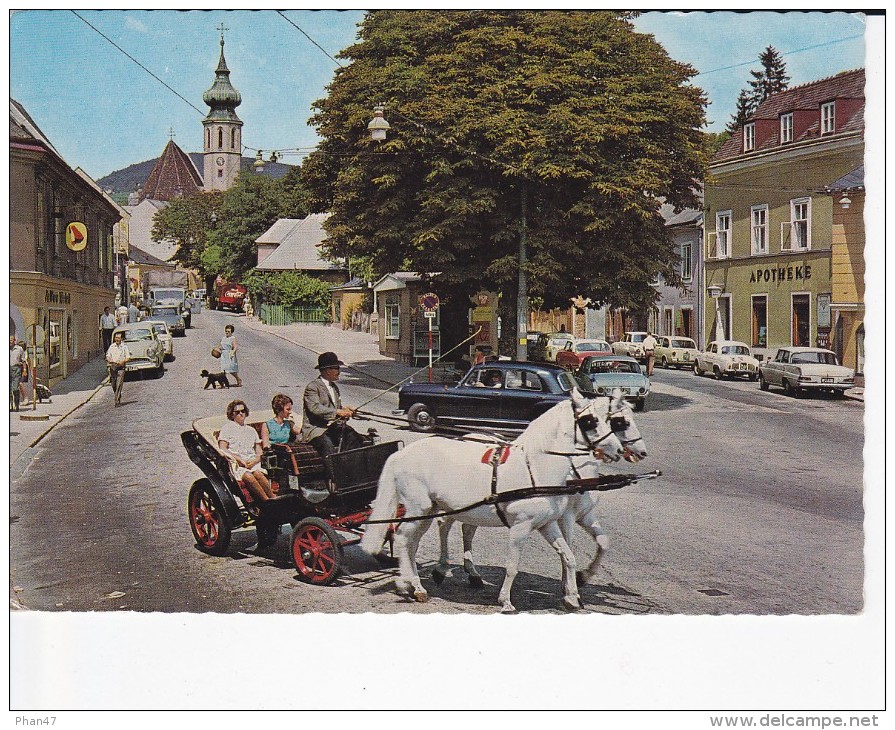 AUTRICHE, VIENNE, GRINZING, Himmelstrasse, Calèche Avec 2 Chevaux, Mercedes 180 - Grinzing