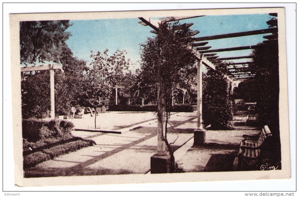 CPSM Orléansville (Chief, Algérie), Jardins, Combier, Mâcon, Années 1940 - Chlef (Orléansville)