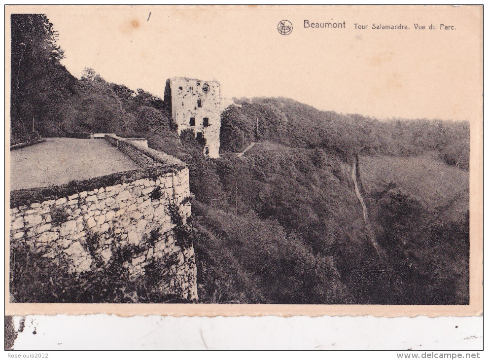 BEAUMONT : Tour Salamandre - Vue Du Parc - Beaumont