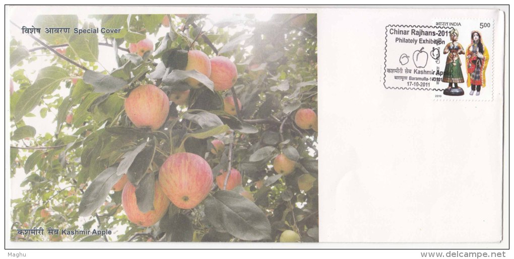 Special Cover, Chinar Philately Exhibition 2011, Kashmir Apple, Fruit, India - Covers & Documents