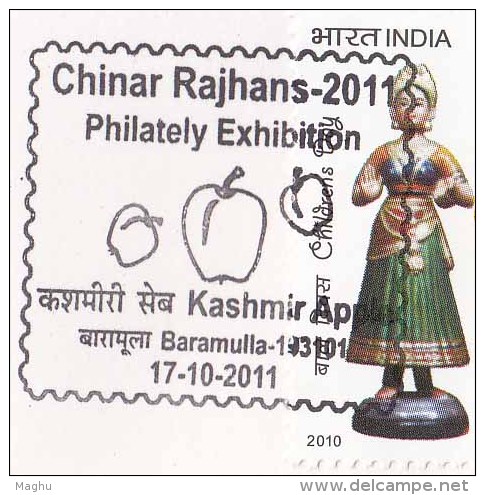 Special Cover, Chinar Philately Exhibition 2011, Kashmir Apple, Fruit, India - Covers & Documents