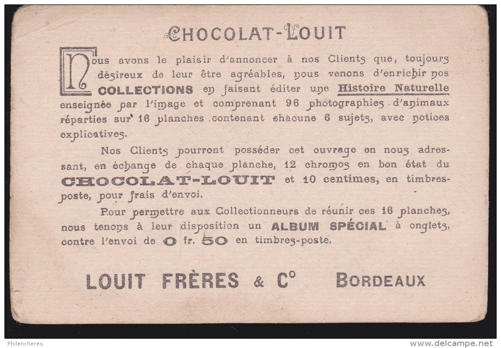 Chromo publicités - Chocolat Louit - Lot de 34 images toutes différentes - verso identiques