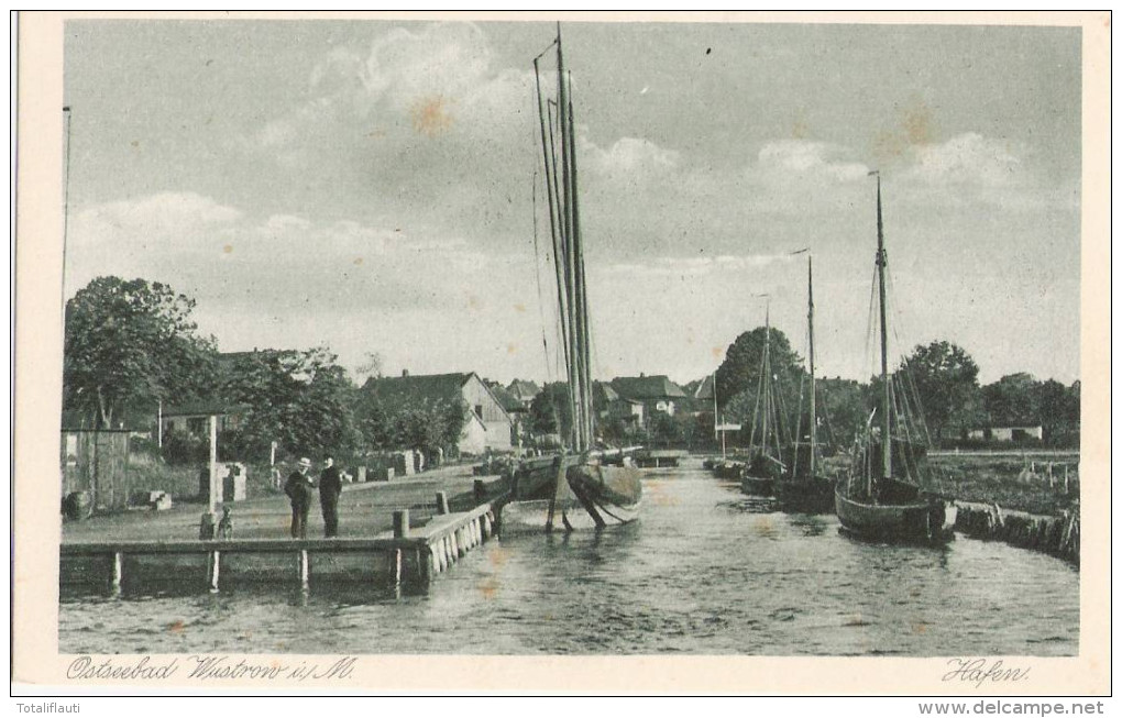 Ostseebad Wustrow Hafen Segel Boot Männer Hund Francaise Bouledogue Sommer 1921 - Ribnitz-Damgarten
