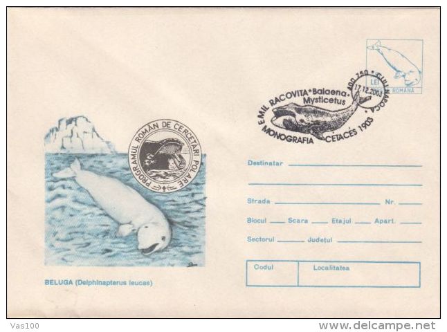 WHALES, BELUGA, WHITE WHALE, COVER STATIONERY, ENTIER POSTAL, 2003, ROMANIA - Wale