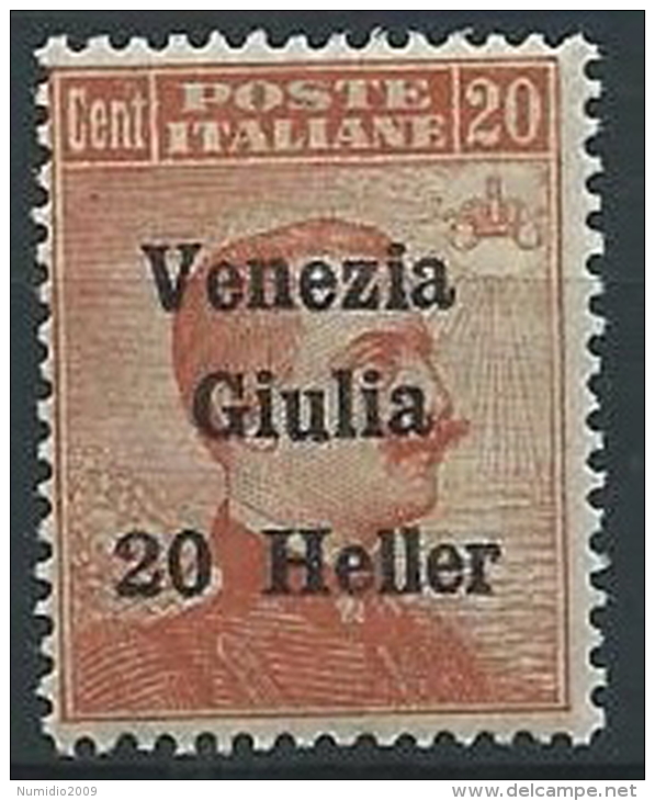 1919 VENEZIA GIULIA EFFIGIE 20 H MNH ** - ED217-2 - Venezia Giulia