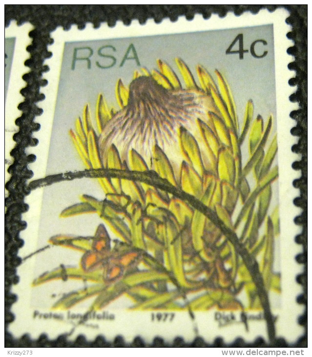 South Africa 1977 Succulents Protea Longifolia 4c - Used - Oblitérés