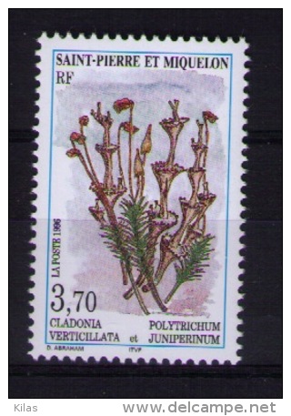 Saint Pierre And Miquelon 1996 Flora, MEDICINAL PLANTS MNH - Heilpflanzen